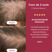 Cellule Boost - Anti Chute